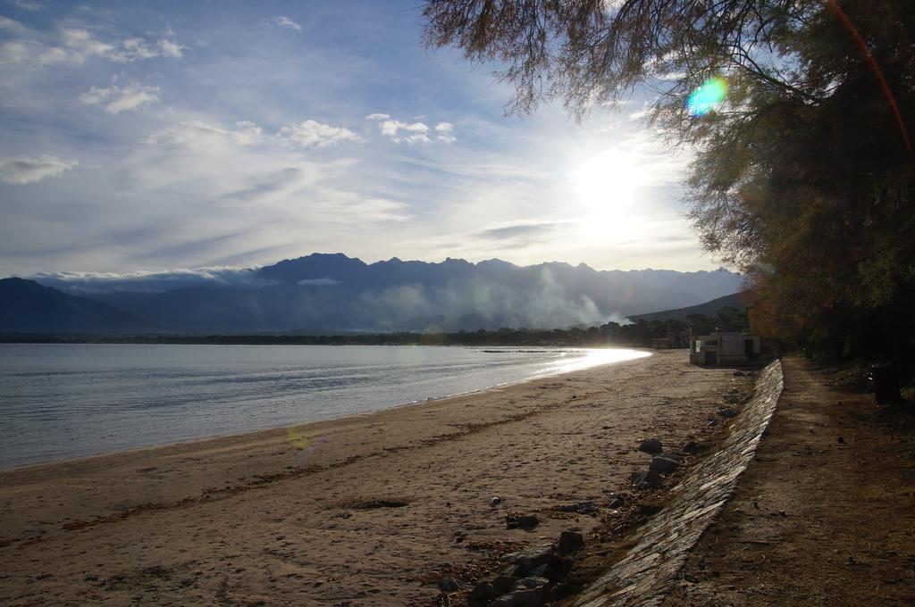 Camping Les Castors Кальві Екстер'єр фото