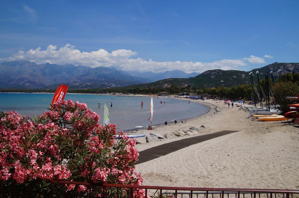 Camping Les Castors Кальві Екстер'єр фото